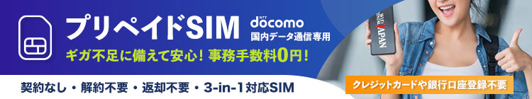 プリペイドSIMカード 10GB 180日 国内データ通信専用【送料無料】