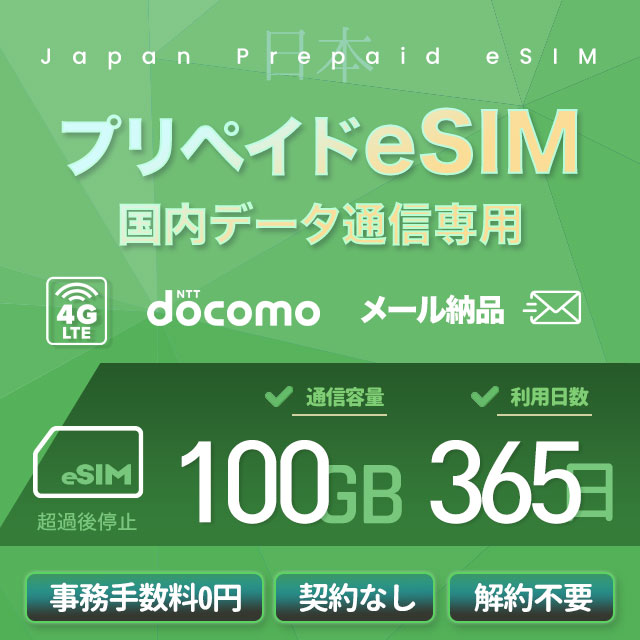 メール納品　プリペイドeSIM 100GB 365日 国内データ通信専用