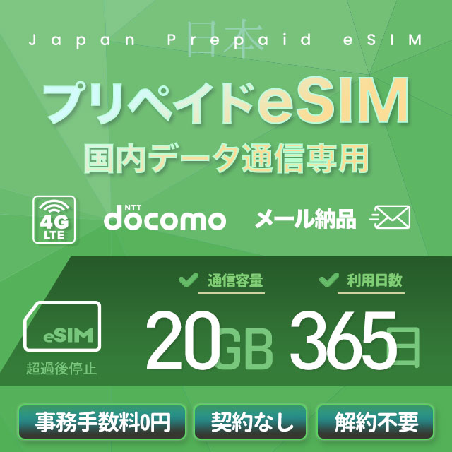 メール納品　プリペイドeSIM 20GB 365日 国内データ通信専用